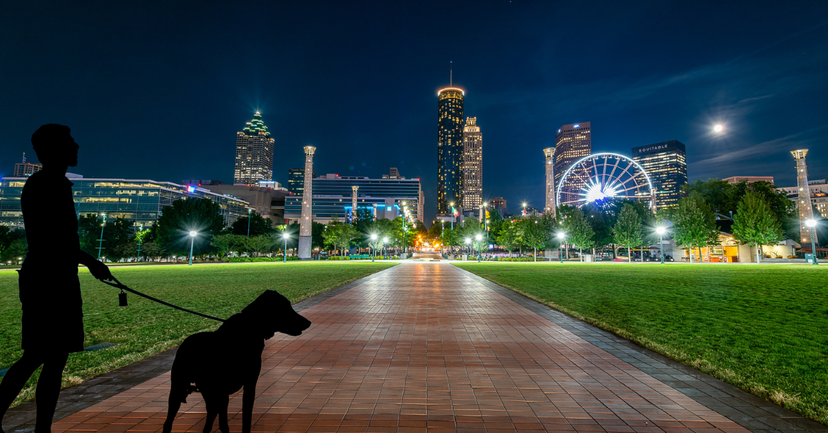 Featured image for “Why Dog Walking Should Be Every Atlanta Dog Lover’s New Year’s Resolution”