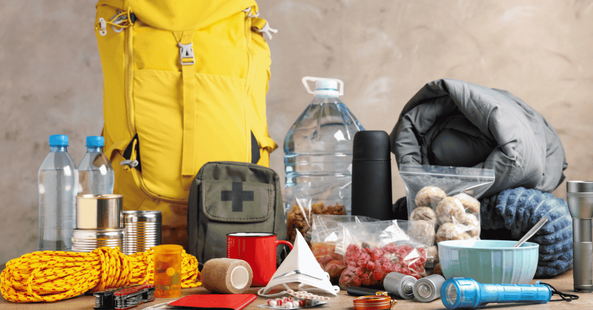 Featured image for “Preparing a Pet Emergency Kit for Summer Storms, Flooding, and Extreme Weather”