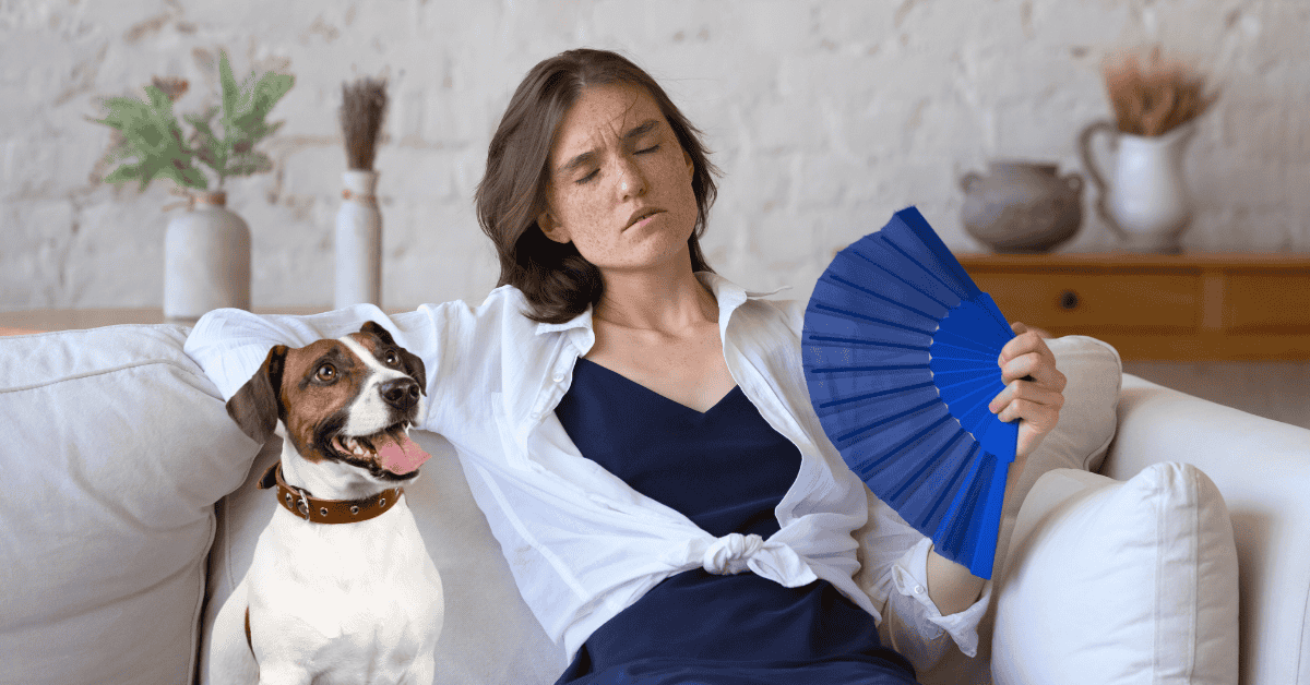 Featured image for “When It’s Too Hot or Cold Inside for Atlanta Pets”