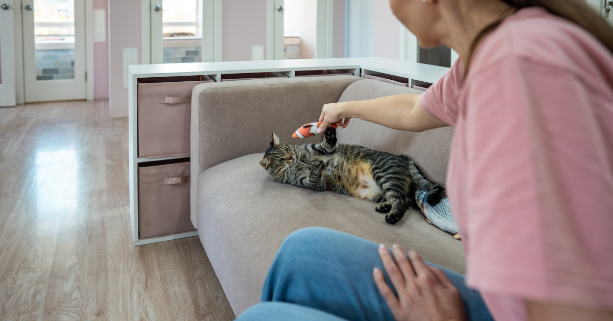 Featured image for “Celebrating Professional Pet Sitters Week 2025: Supporting Busy Atlanta Pet Parents”