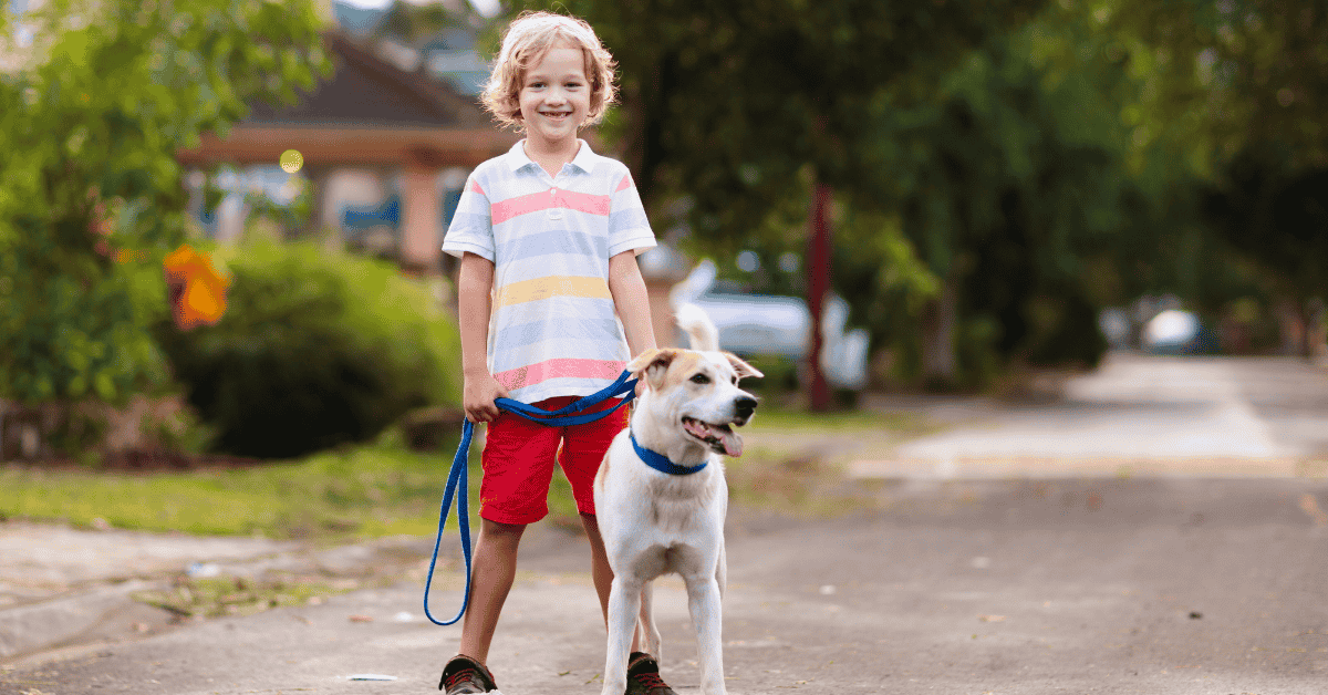 Featured image for “3 Hidden Dangers of Letting Kids Walk Dogs”